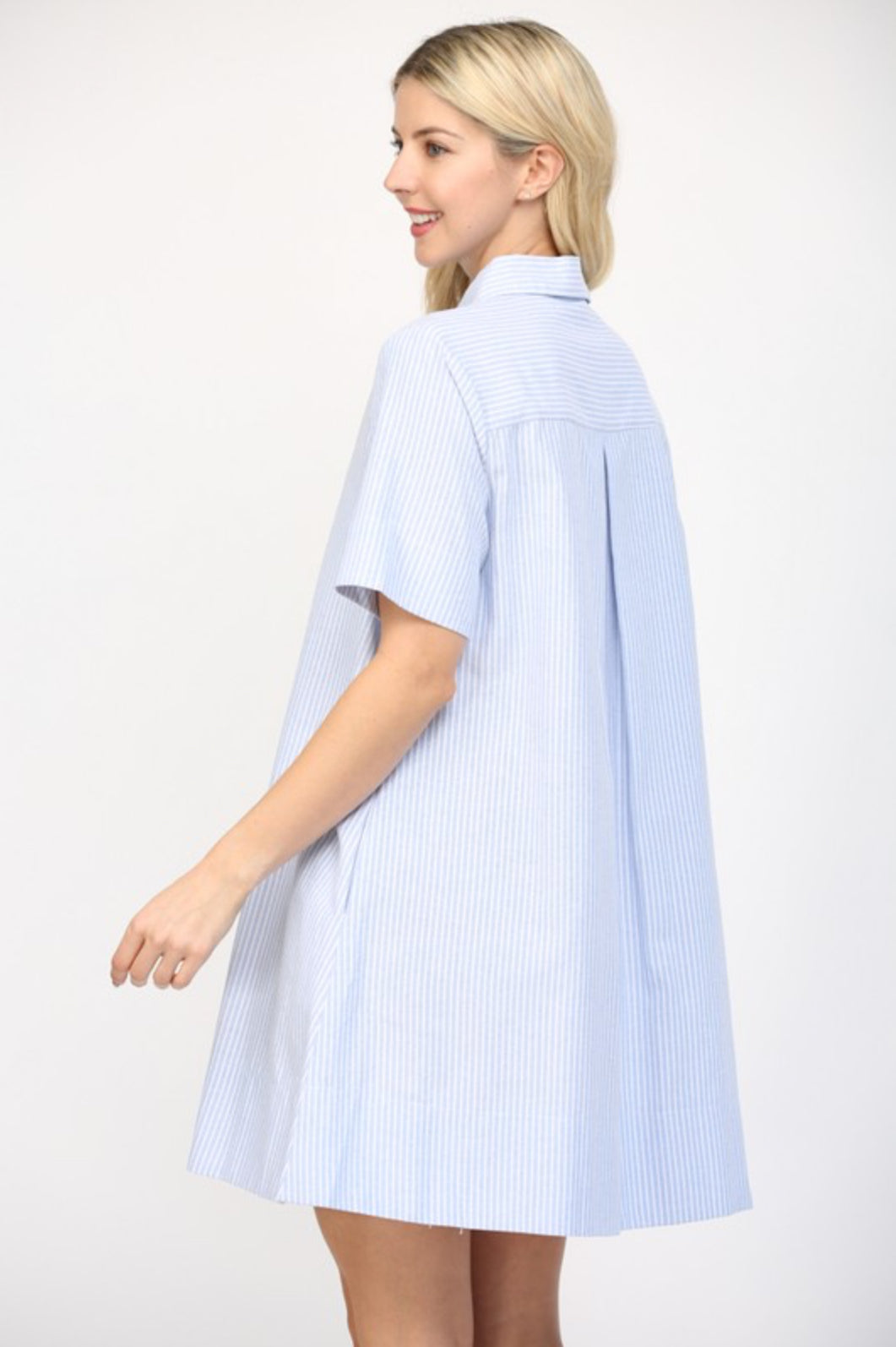 Pin Stripe A Line Mini Dress