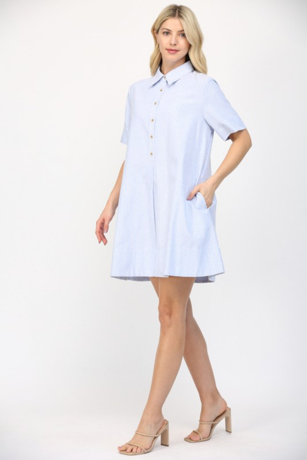 Pin Stripe A Line Mini Dress