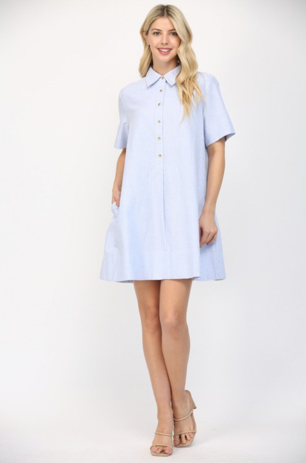 Pin Stripe A Line Mini Dress