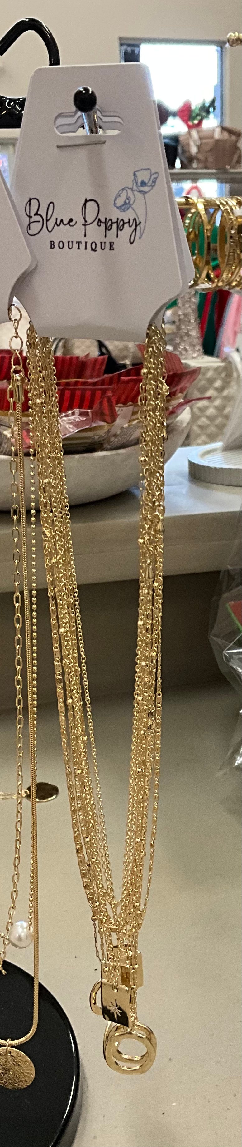 Double Pendant Necklace