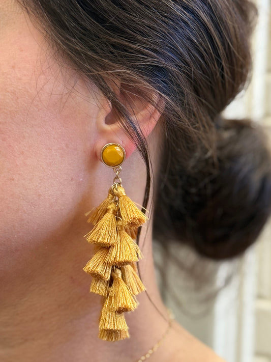 Tassel Drop Earrings