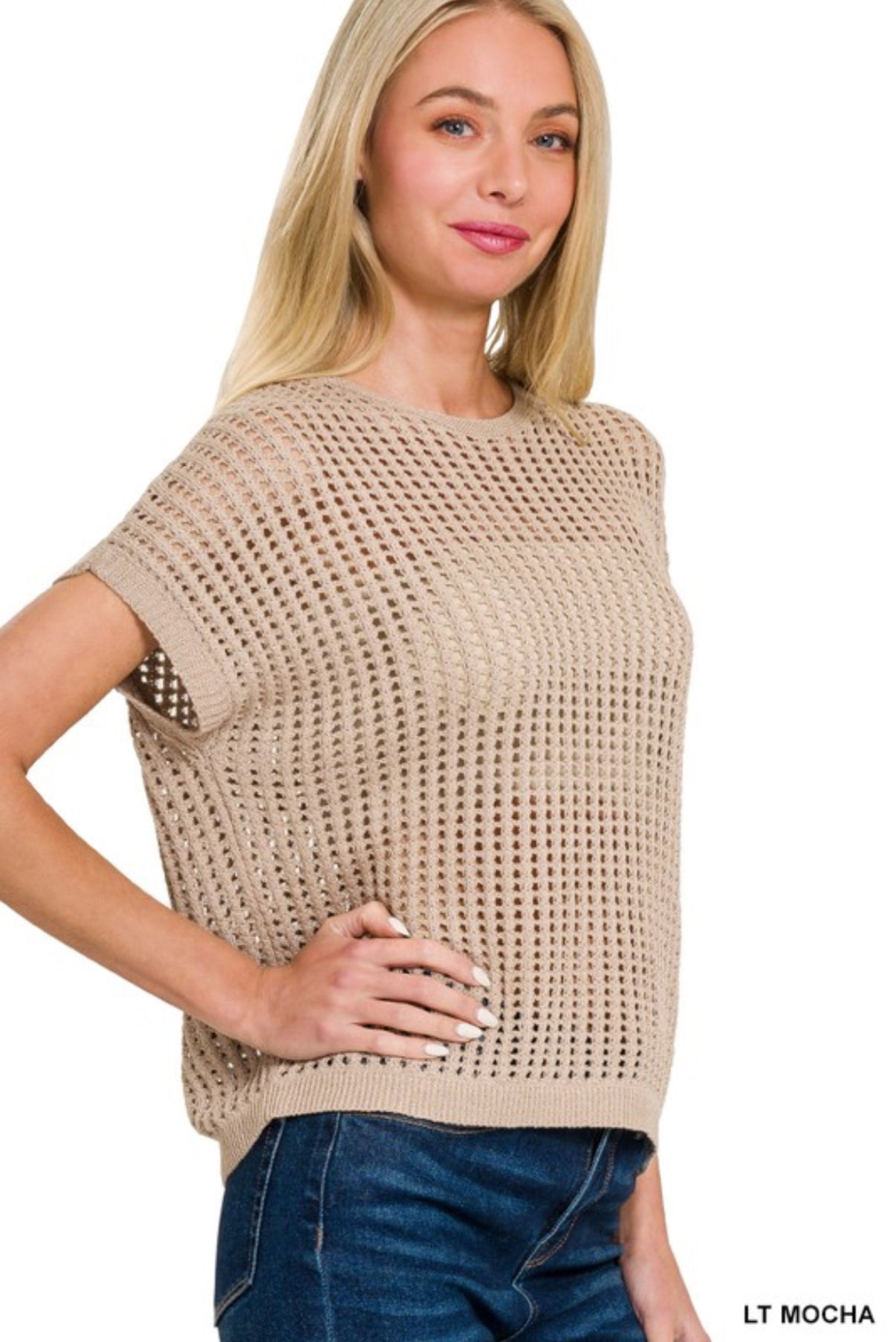 Crochet Knit Sheer Sweater