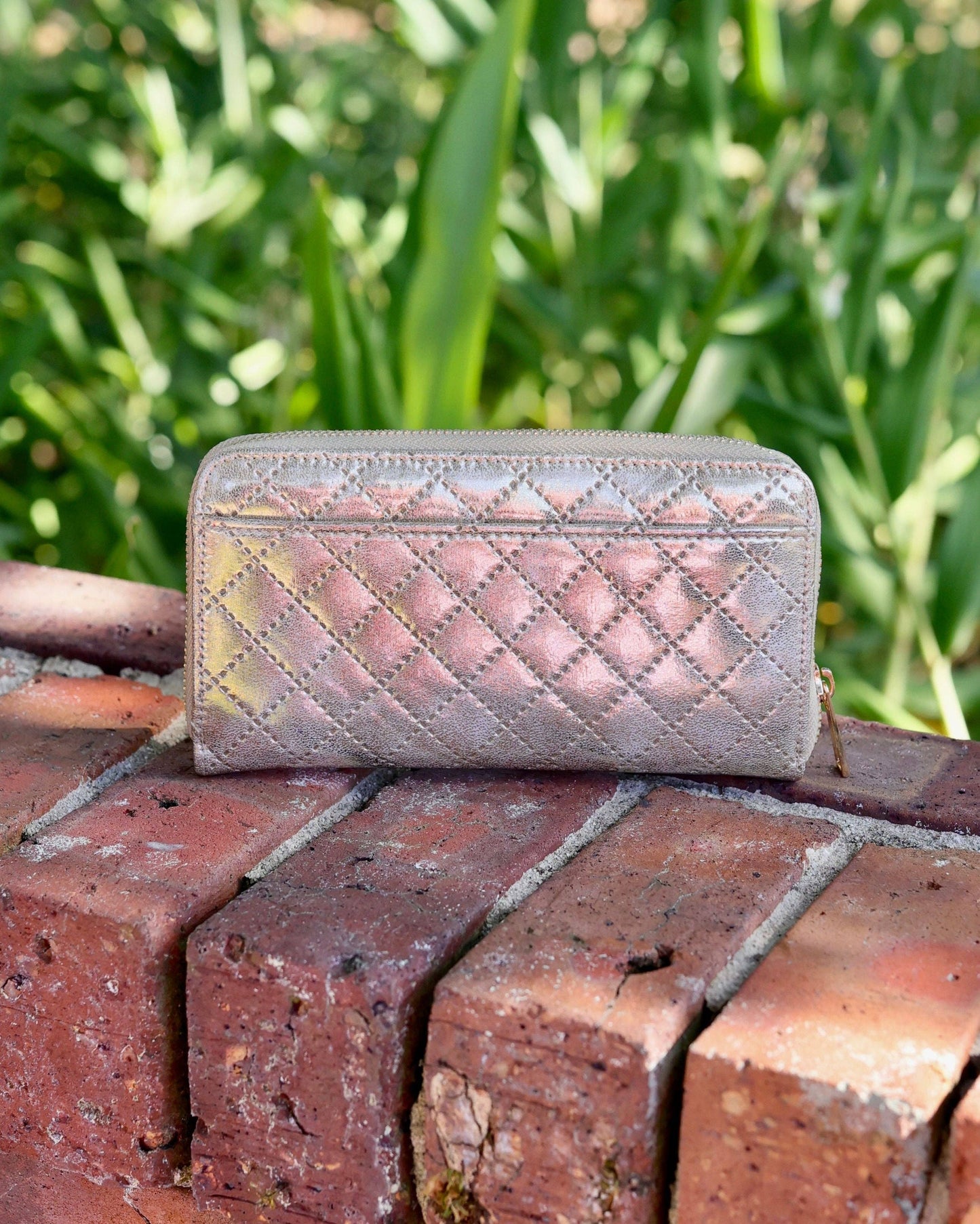 Penelope Wallet Champagne Pop